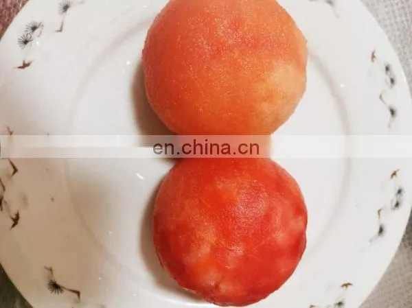 Industrial High Pressure Potato Instant Steam Peeling Machine for Frozen French Fries photo-3