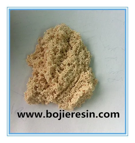 Lithium Extraction Resin