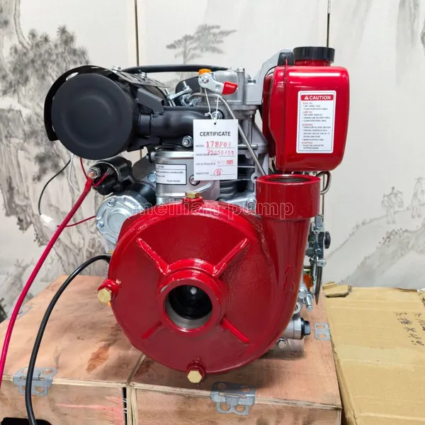 Portable Diesel Engine Pump Small Diesel Pump photo-2