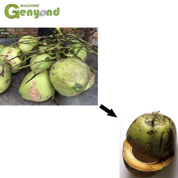 Automatic Fresh Coconut in Half Cutting Machine Price photo-3