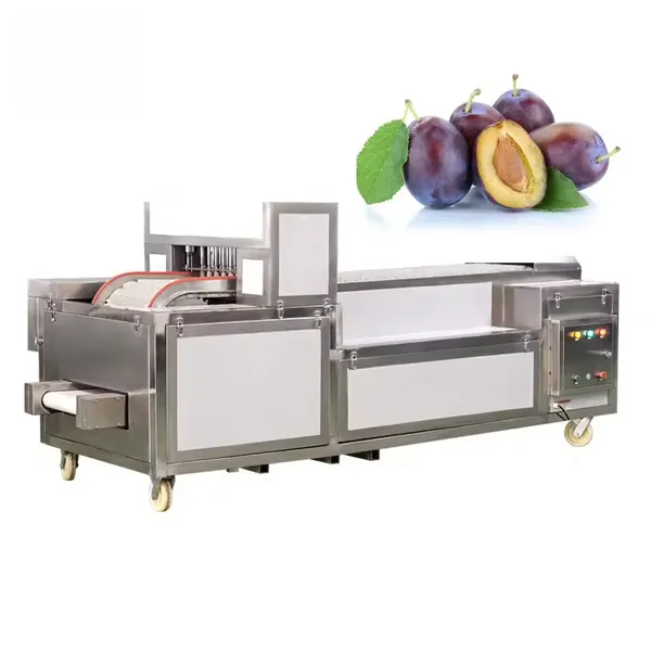 Automatic Cherry Pitter Commercial Olive Pitting Machine/Red Dates Deseeding Opening Machine Peach Apple Pear photo-2