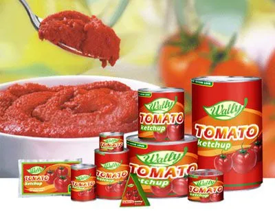 Automatic Complete Full Line Tomato Paste Sauce Ketchup Factory Plant Processing Machine photo-4