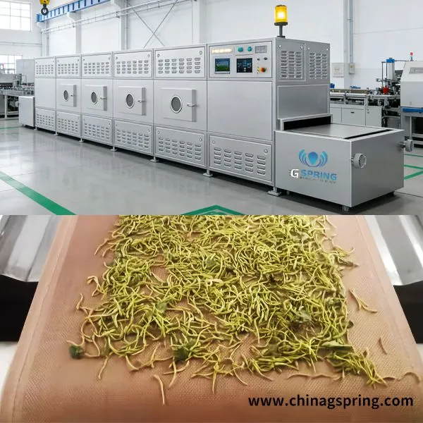 Intelligent Control System Microwave Drying Sterilization Machine for Pharma Industrial Use