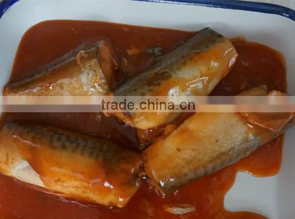 Good Taste Canned Mackerel in Tomato Sauce High Quality photo-2