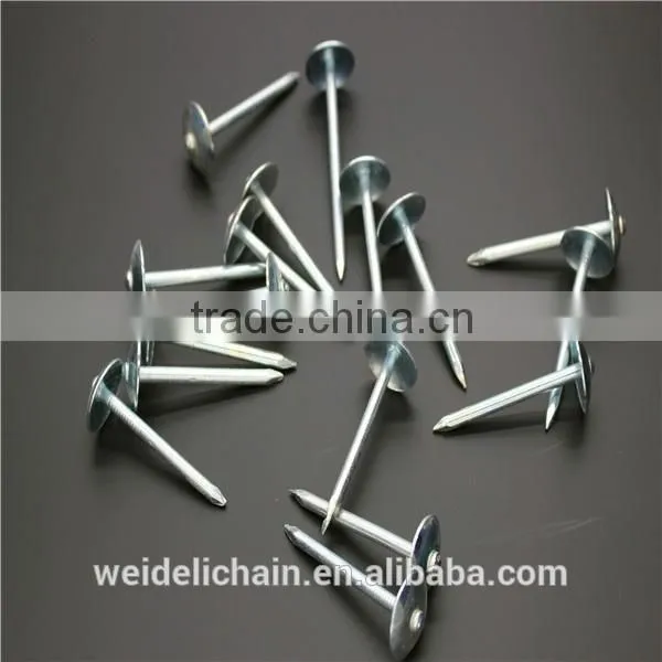 Galvanized Roofing Nails/ Umbrella Roofing Nails photo-4