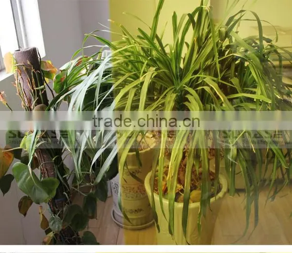 Decorative PET Orange Transparent Color Window Film Similar to 3M Window Film photo-3