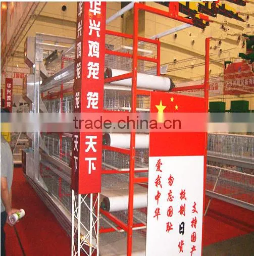 Automatic Chicken Layer Cage for Sale in Philippines photo-5