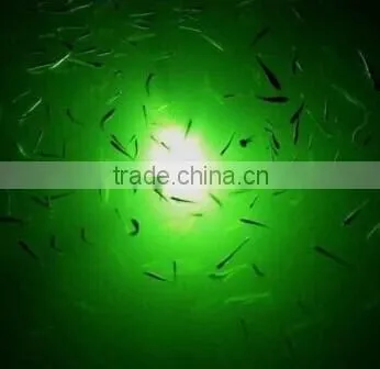 2015 Newest Design AC/DC 12V Underwater LED Fishing Net Light photo-6
