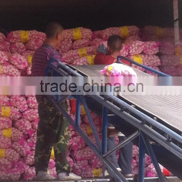 China Red Garlic Price Store Garlic photo-4