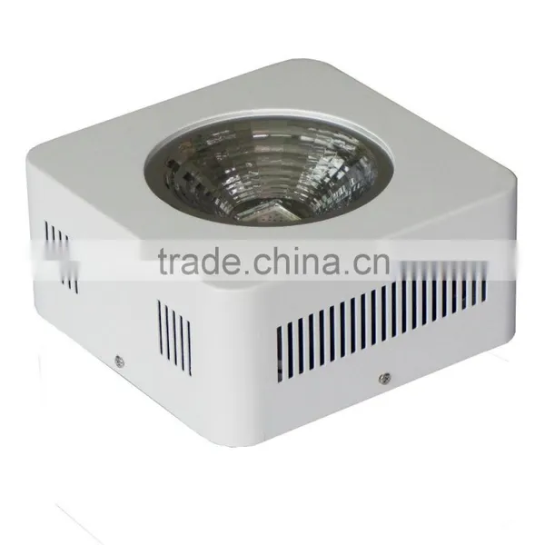 Hydroponic System 200w Led Hydroponic Light photo-4