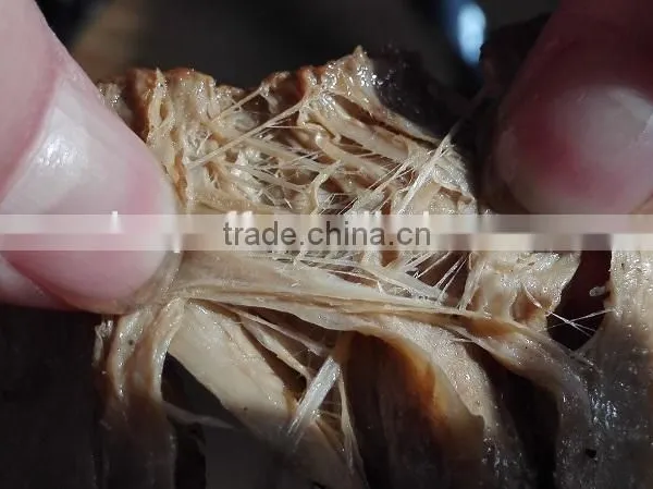 High Qualitysoya Chunk Tvp Machine Soya Twin Extruder/High Quality Soya Twin Extruder/Soya Twin Extruder photo-5