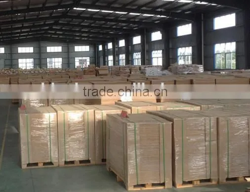 Adhesive Mylar Film Sheets for Labels photo-6