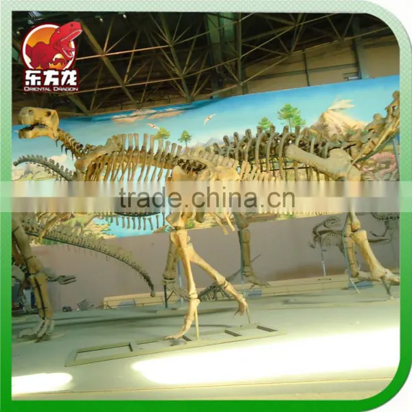 Animatronic Dinosaur Skeleton for Education