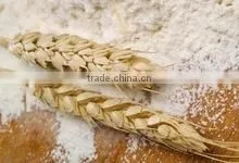 FLOUR photo-5