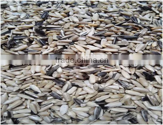 2017 Newest RGB Unhulled Sunflower Seeds Color Sorter Machine photo-2