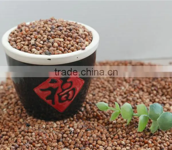 Red Sorghum With High Quality And Cooperate Price From China photo-3