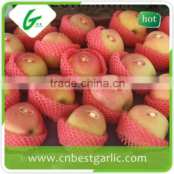 Fresh Chinese New Crop Red Gala Apple Wholesales photo-5