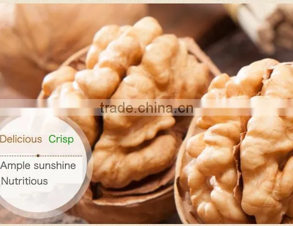 Quality Walnut and Walnut Kernel