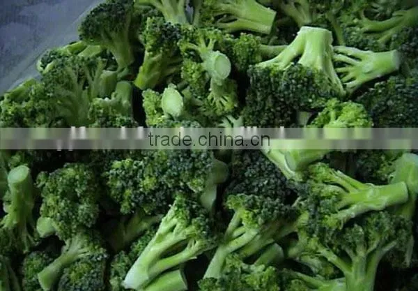 IQF Broccoli photo-6