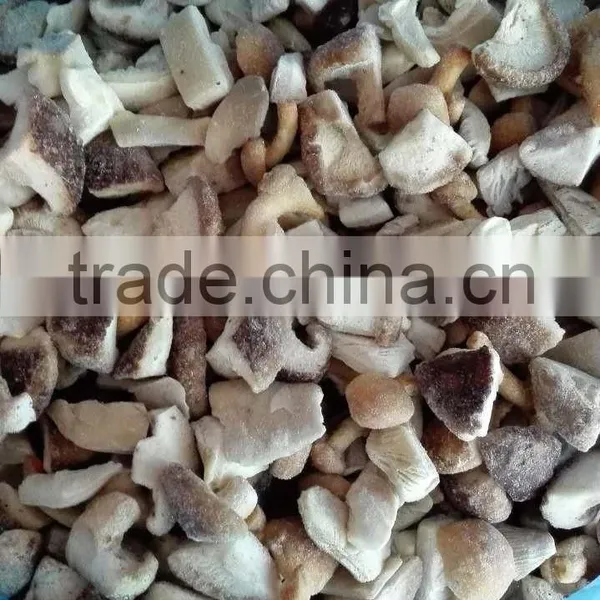 Top Quality China Mushroom With Good Price photo-6
