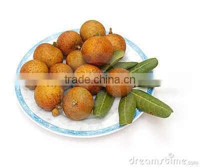 Vietnam Dried Longan photo-2