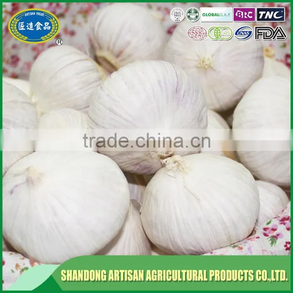 High Quality Price of One Garlic Clove With Long-term Service