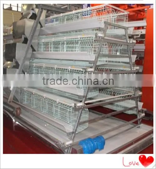 Automatic Chicken Feeding Machine photo-2
