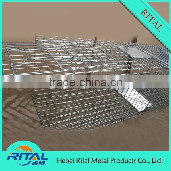 Galvanized Raccoon Cage Traps for Raccoon Trapping photo-3