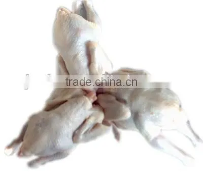 Chicken Bird Defeathering Rubber Finger Quail Plucker photo-6