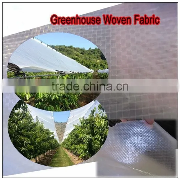 UV Protection Transparent Tarpaulin, Waterproofing Tarpaulin, Used Clear Tarpaulin