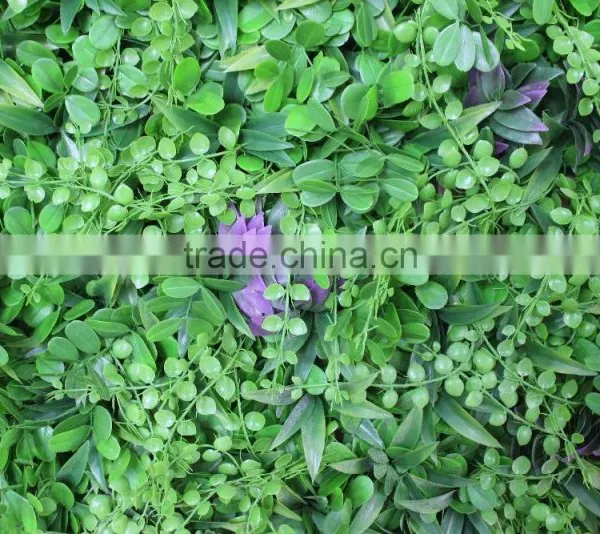 CHY040901 Decorative Garden Wall/ Hanging Wall Withplants/vertical Plant Wall photo-4