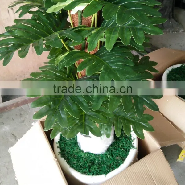 Decorative Artificial Plants Green Plants Wholesale photo-5