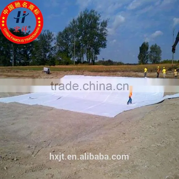 Used for Landfill Underground Garage Leakage Proof Geosynthetic Clay Liner photo-6