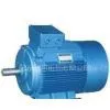 Y2 Series Motors