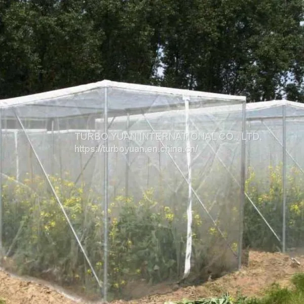 Greenhouse Used Clear Plastic Mesh Insect Proof Cover Net for Sale photo-3