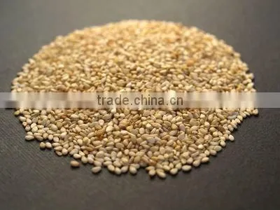 PREMIUM INDIAN SESAME SEED photo-2