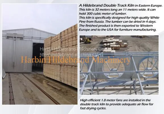 Germany Joint Venture Conventional Timber Dry Kiln, Kiln Dryer for Wood Dry Kilns photo-3