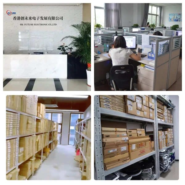 HK Future Electronic Co.,Ltd company overview - view 1