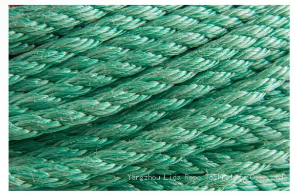 Polypropylene Multifilament Rope, 3-strand LDPPMULTI-3 photo-2