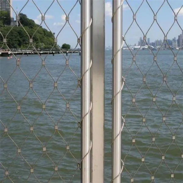 Stainless Steel Wire Mesh With Technical Support for Custom Projects photo-3