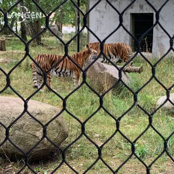Customized Excellent Flexibility Stainless Steel Ferrule Rope Mesh for Zoo Mesh Fence photo-5