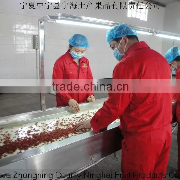 ORGANIC NINGXIA GOJI BERRY 220 photo-2