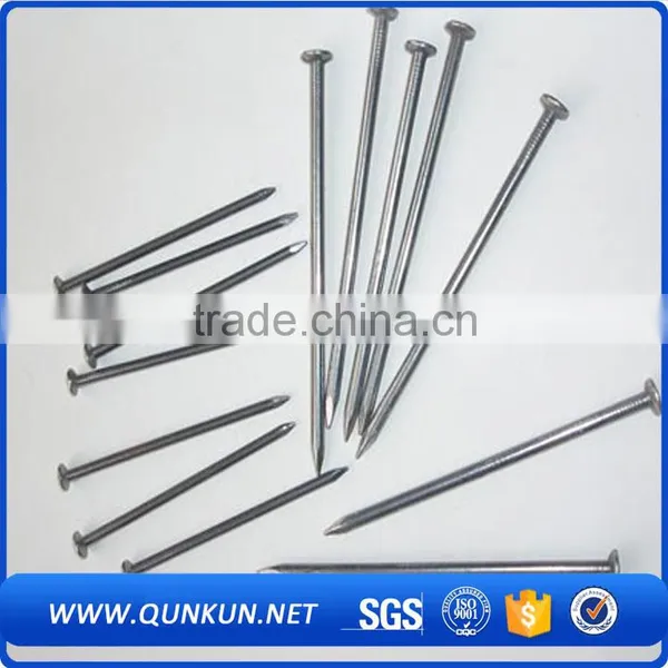 Screw Shank Twisted Roofing Nail photo-2