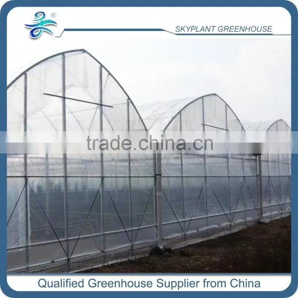 Plastic Film Greenhouse Large for Flowers Vegetables photo-2