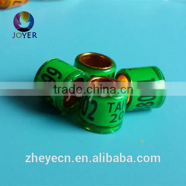 Free Shipping 8mm Natinal Standard Pigeon Union Rings photo-5