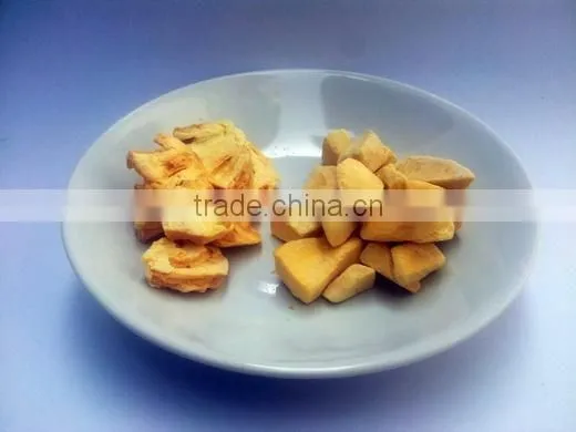 Freeze Dried Durian photo-2