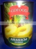 Canned Slices Pineapple in Light Syrup 580ml