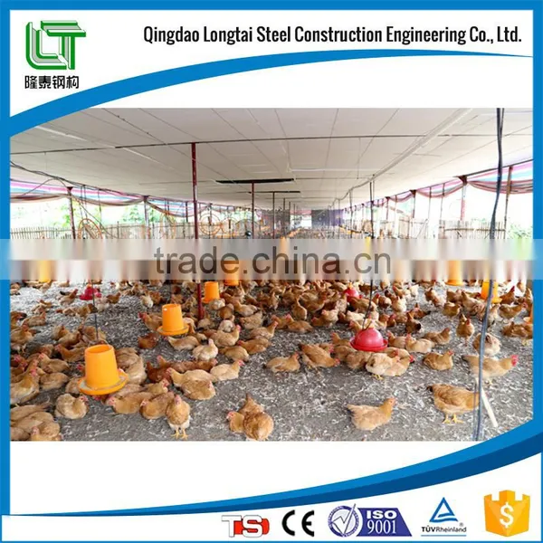 Cheap Broiler Poultry Farm House photo-4