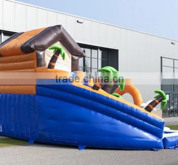 Boys and Girls Water Inflatable Pool Slide, Low Price Inflatable Waterslide on Sale photo-5