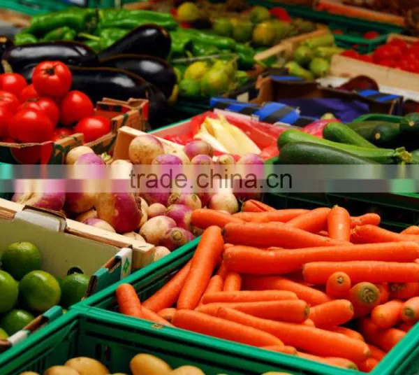 Fresh Vegetables Exporters photo-2